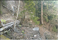 baulmes (4a)
