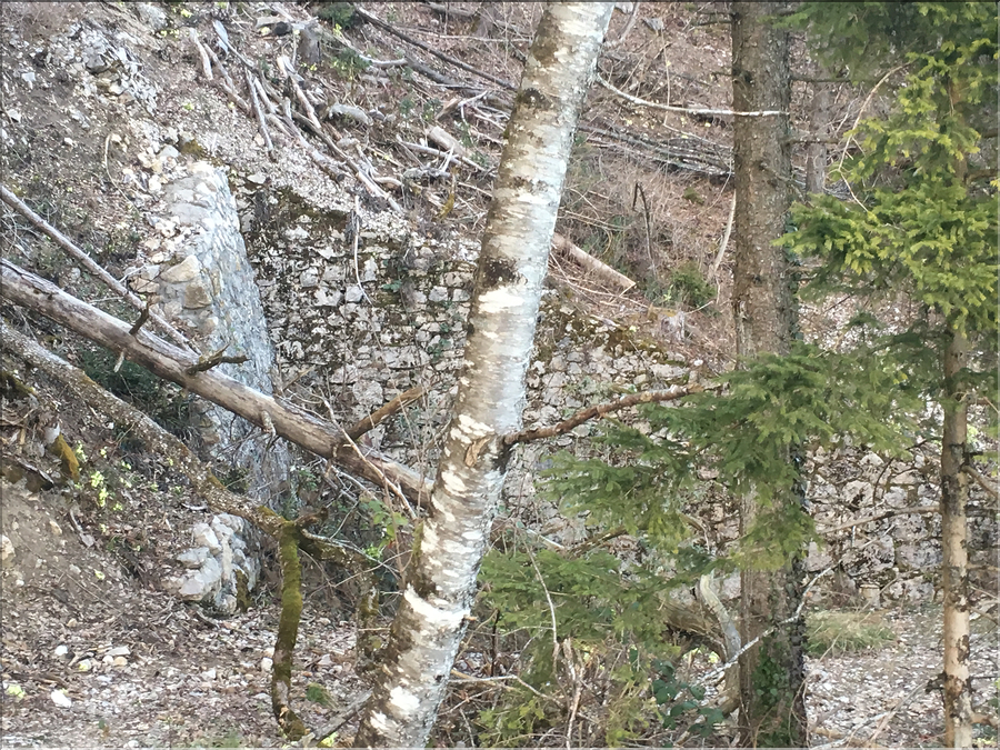 baulmes (4b)