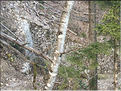 baulmes (4b)